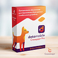 DMPro:  DataMobile, версия Стандарт Pro - LifeTime